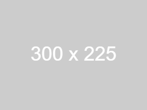 dummy_300x225_ffffff_cccccc