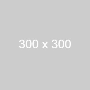 dummy_300x300_ffffff_cccccc (1)